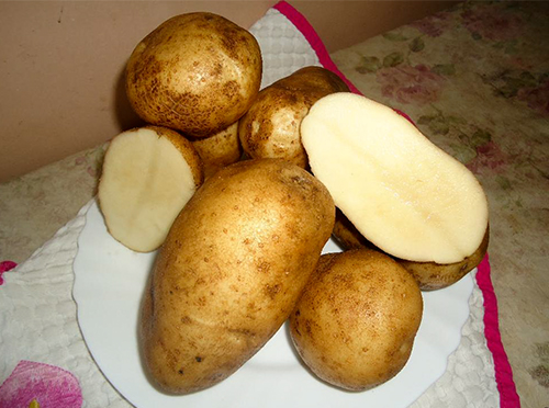 Сорт картофи Късмет