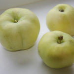 Variedad de manzana Relleno blanco