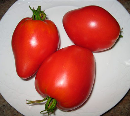 Variedad de tomate Miel rosa