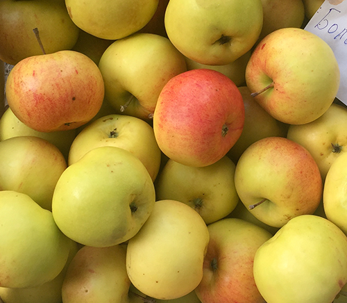 מגוון תפוחים Bolotovskoe