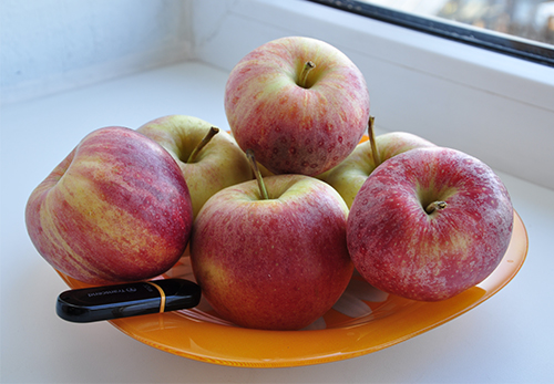 מגוון גאלה של תפוחים