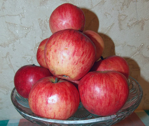 Odmiana jabłkowa Bashkir przystojny