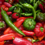 Harvesting and storing peppers