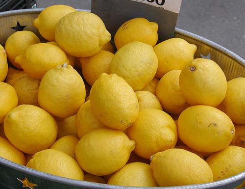 Сорт лимон Eureka