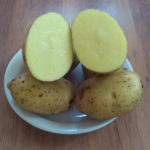 Odmiana ziemniaków w galarecie