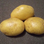 Variedad de patata Juvel