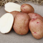 Сорт картофи Красив