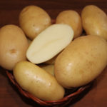 Odmiana ziemniaka Krepysh