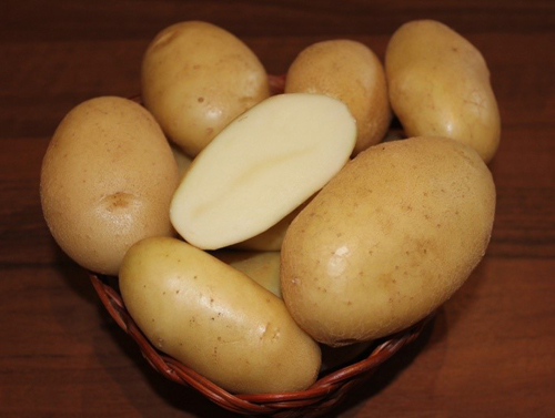 Сорт картофи Крепиш