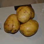 Variedad de patata Latona