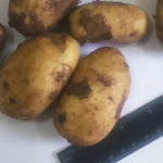 Variedad de patata Nadezhda