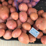Сорт картофи Червена Соня