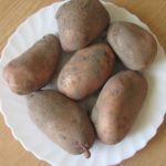 Сорт картофи Славянка
