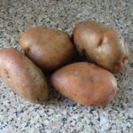 Odmiana ziemniaka Spiridon