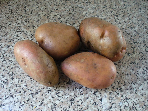Сорт картофи Спиридон