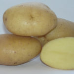 Сорт картофи Вимпел