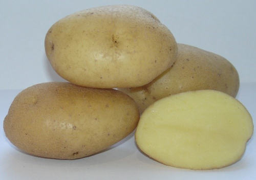Banderín de variedad de patata