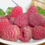 Raspberry variety Maravilla