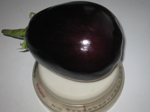 Eggplant variety Clorinda (F1)