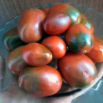 Odmiana pomidora Black Moor
