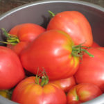 Odmiana pomidora Mazarin