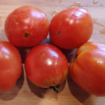 Сорт домати Клуша