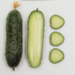 Cucumber variety Furor (F1)