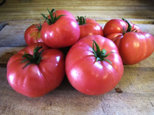 Variedad de tomate Mikado