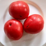 Odmiana pomidora Nastenka