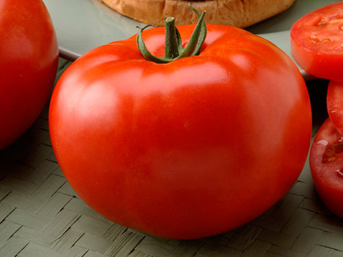 Variedad de tomate Big beef (F1)