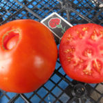 Variedad de tomate Frente bovino