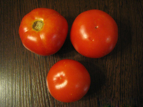 Variedad de tomate Krasnobay (F1)