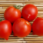 متنوعة الطماطم Yubileiny Tarasenko