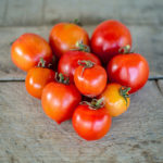 Tomato variety Geranium Kiss (Geranium kiss)