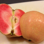 Variedad de manzana Perlas rosas