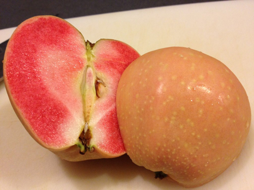 متنوعة التفاح الوردي اللؤلؤ