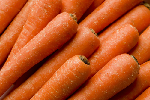 Varietà di carote NIIOH 336