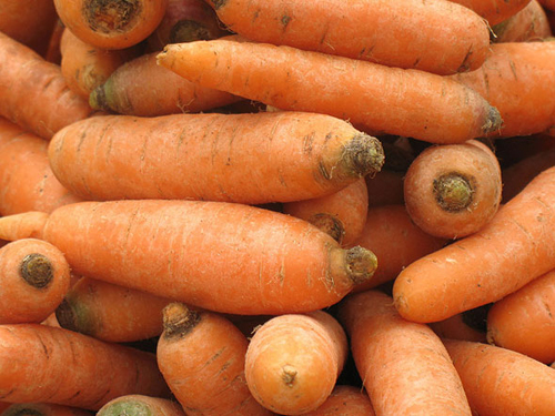 Variedad de zanahoria Vitamina 6